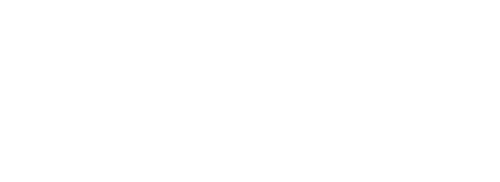 ENSHI Consultancy wit